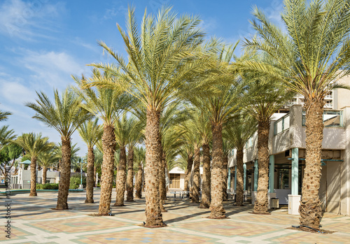 Central promenade in Eilat - famous resort city in Israel