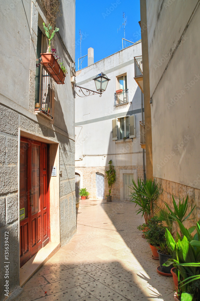 Fototapeta premium Alleyway. Rutigliano. Puglia. Italy. 