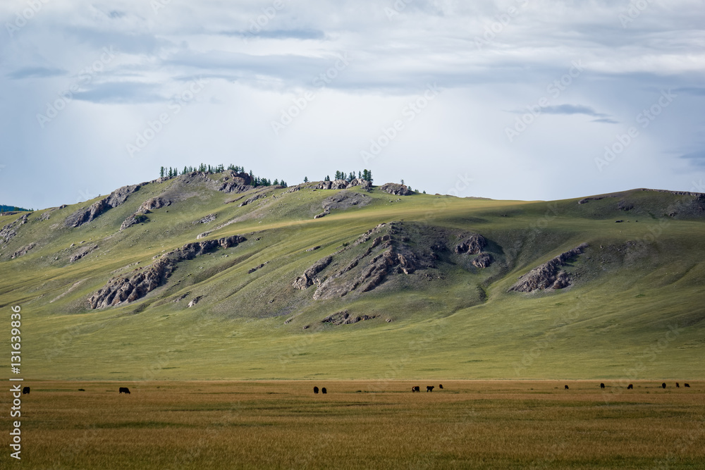 Fototapeta premium Mongolia