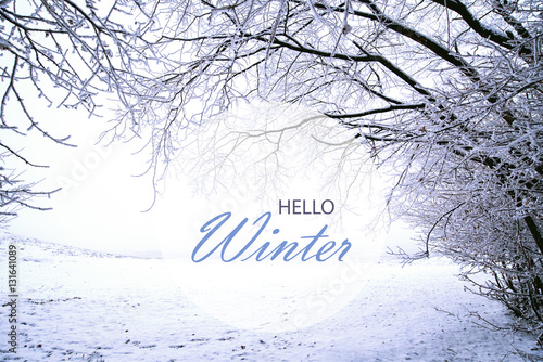 Hello Winter wallpaper, winter landscape with frozen forest