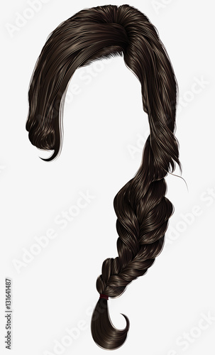 trendy women hairs  pigtail . braid plait .  fashion beauty style . realistic  3d .