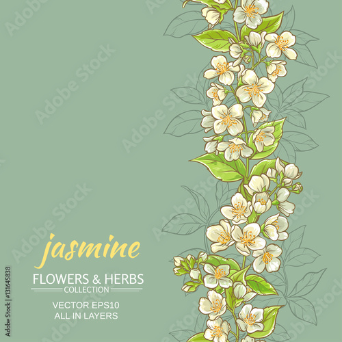 jasmine vector  background