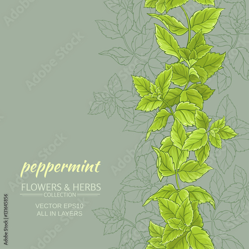 peppermint vector background