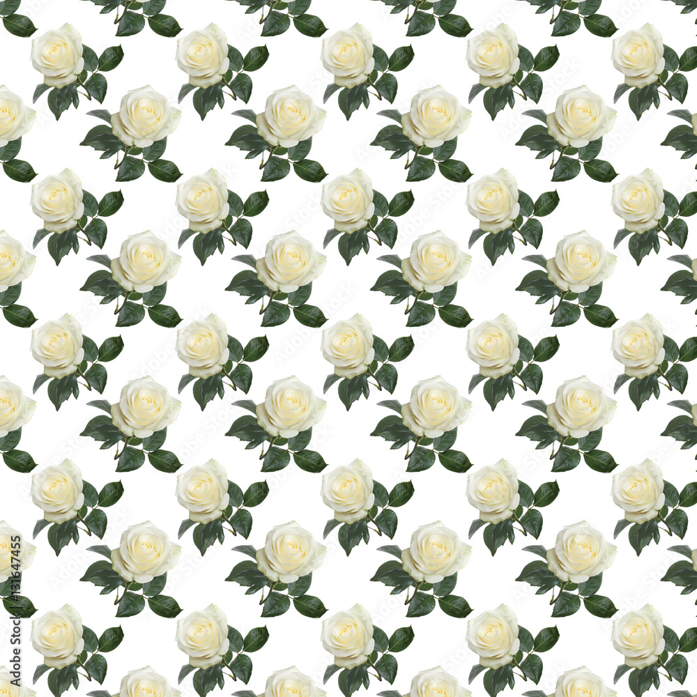 Obraz pattern fresh white roses