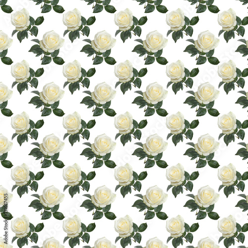 pattern fresh white roses