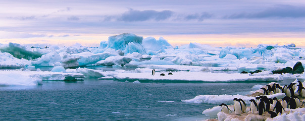 Poster Antarctica Besneeuwd landschap in Antarctica  © Alexey Suloev