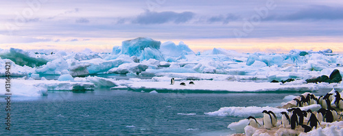 Beautiful view in Antarctica  photo