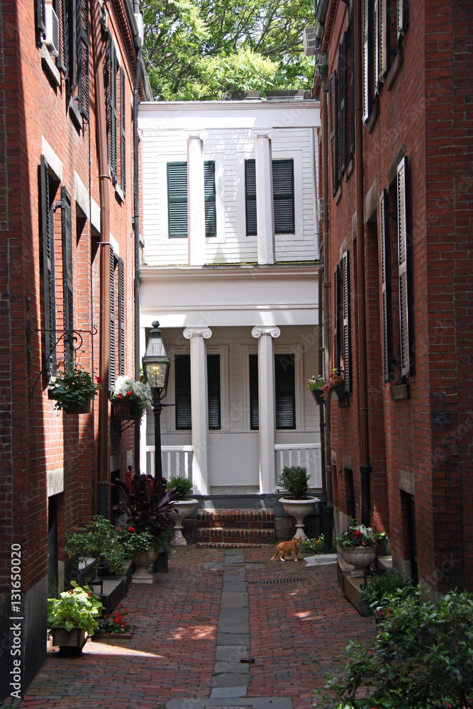 Courette fleurie à Beacon Hill à Boston, USA Courette fleurie à Beacon Hill à Boston, USA