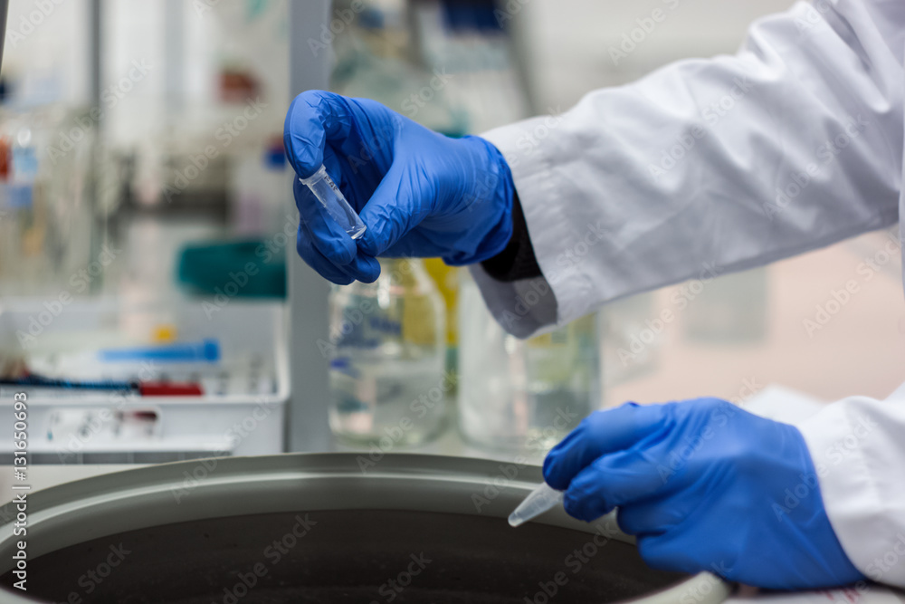 Researcher or scientist or phd student working in a biotechnolog Researcher or scientist or phd student working in a biotechnolog