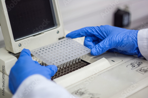 Scientist or researcher or phd student put dna samples into pcr