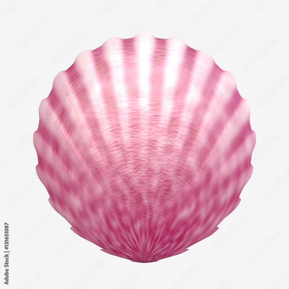 Fototapeta premium Scallop seashell on white background, digital illustration art work.