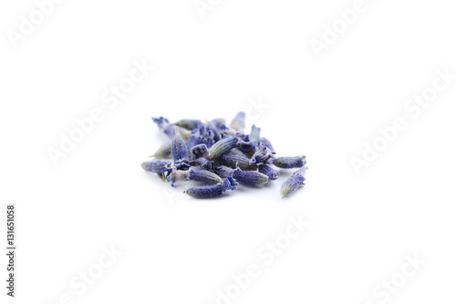 Lavender flowers isolated on a white