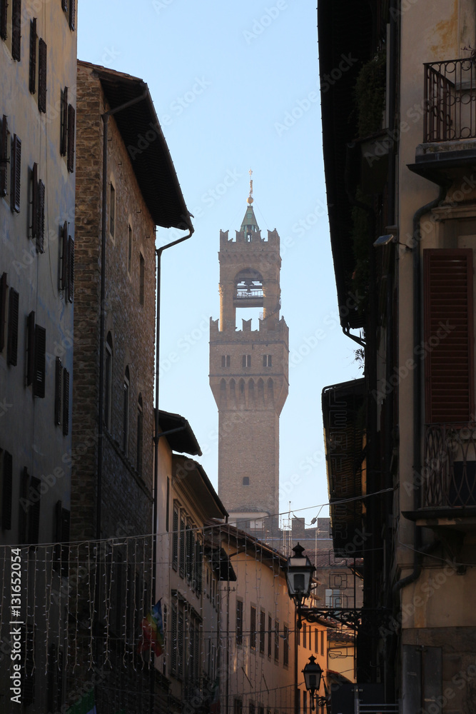 view of the Palazzo Vecchio between buildings in Florence, Italy