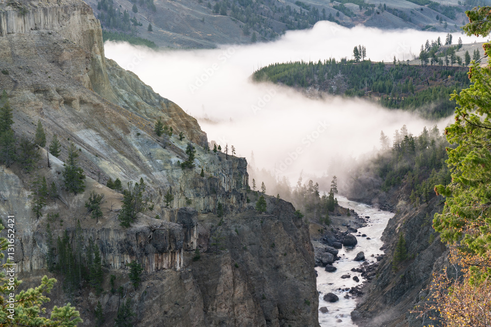 Yellowstone River Fog