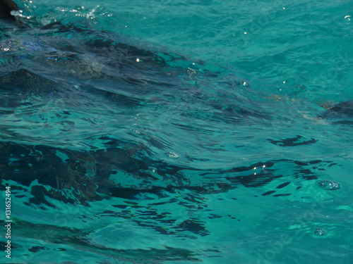 Colombia Sea Wave Texture