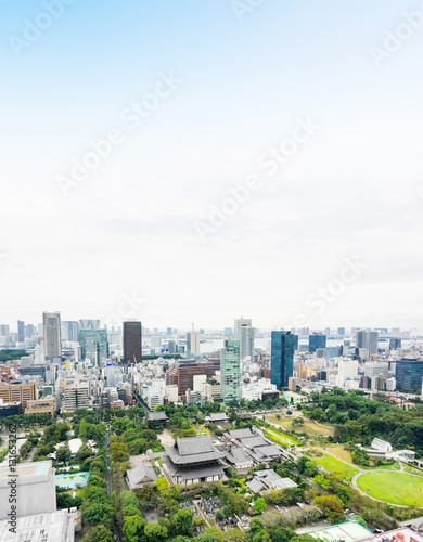 Business and culture concept - panoramic modern city skyline bird eye aerial view with zojo-ji temple shrine from tokyo tower under dramatic sunrise and morning blue sky in Tokyo  Japan