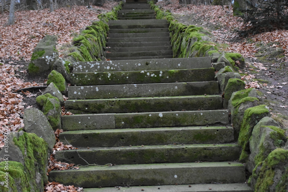 Alte Steintreppe führt auf Berg im Wald Alte Steintreppe führt auf Berg im Wald