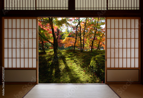 Japanese sliding wood doors open to an autumn sight of fallen yellow ginkgo leaves