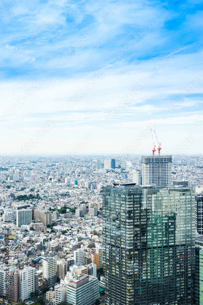 Business and culture concept - panoramic modern city skyline bird eye aerial view under dramatic sun and morning blue cloudy sky in Tokyo, Japan