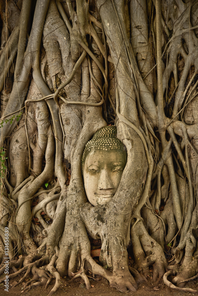 Tailandia Tailandia