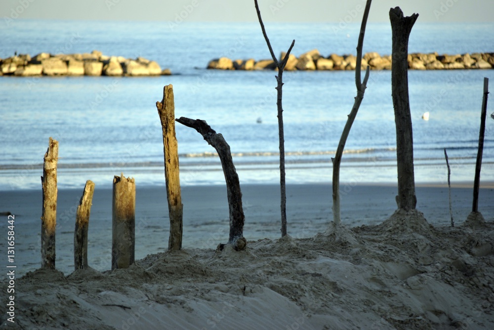 la spiaggia in inverno