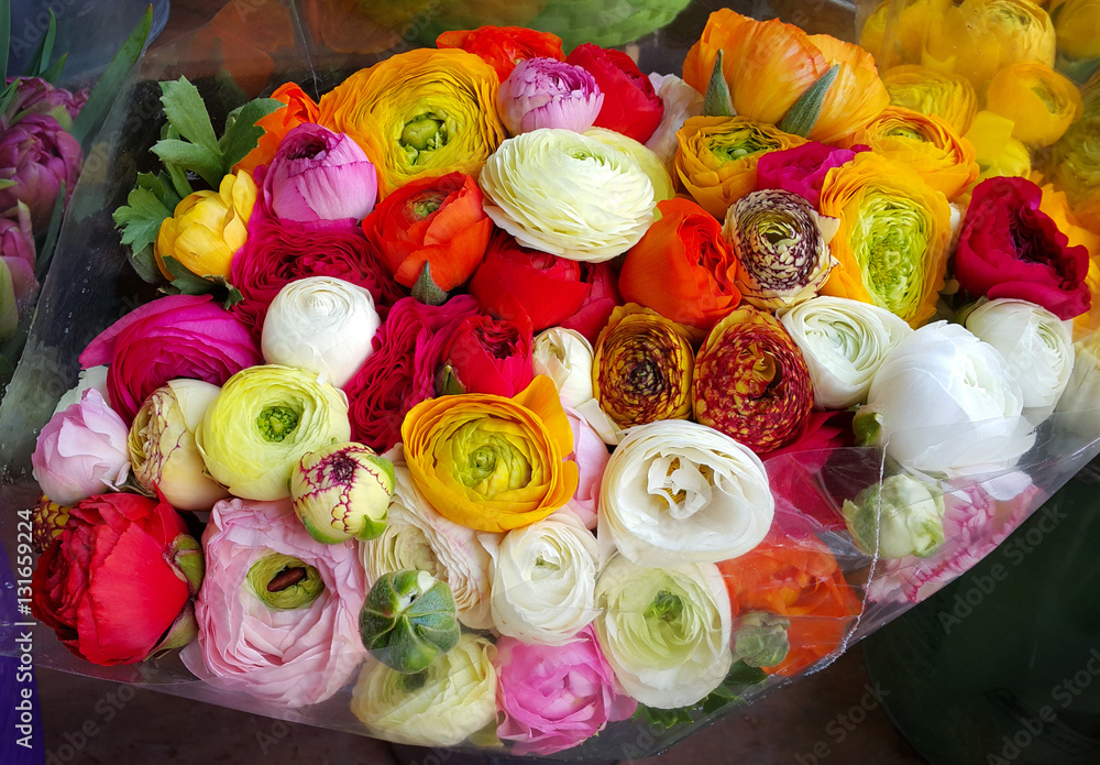 Bouquet of ranunculus colorful flowers