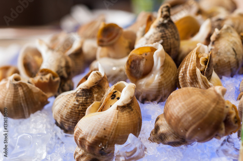 whelks on ice