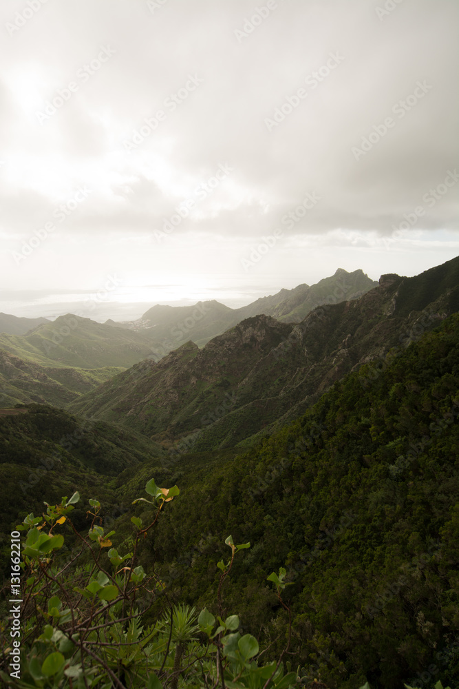 Road TF-12 in Anaga Rural Park - peaks with ancient forest on Tenerife