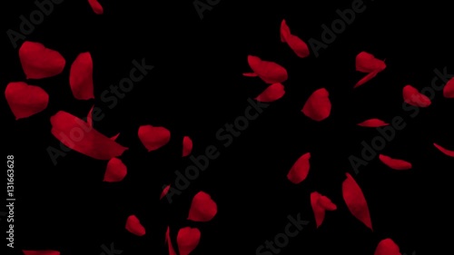 Falling red rose petals. Valentine slow motion HD animation, close up with black background.
