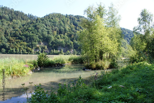 Biotop an der Donau