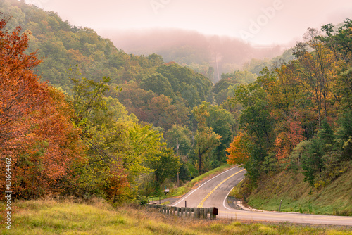 Wallpaper Mural Fall foliage Torontodigital.ca