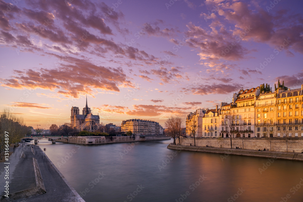 Fototapeta premium Paris notre Dame
