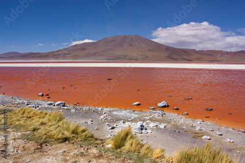 Lagoon of Colorado in Bolivia