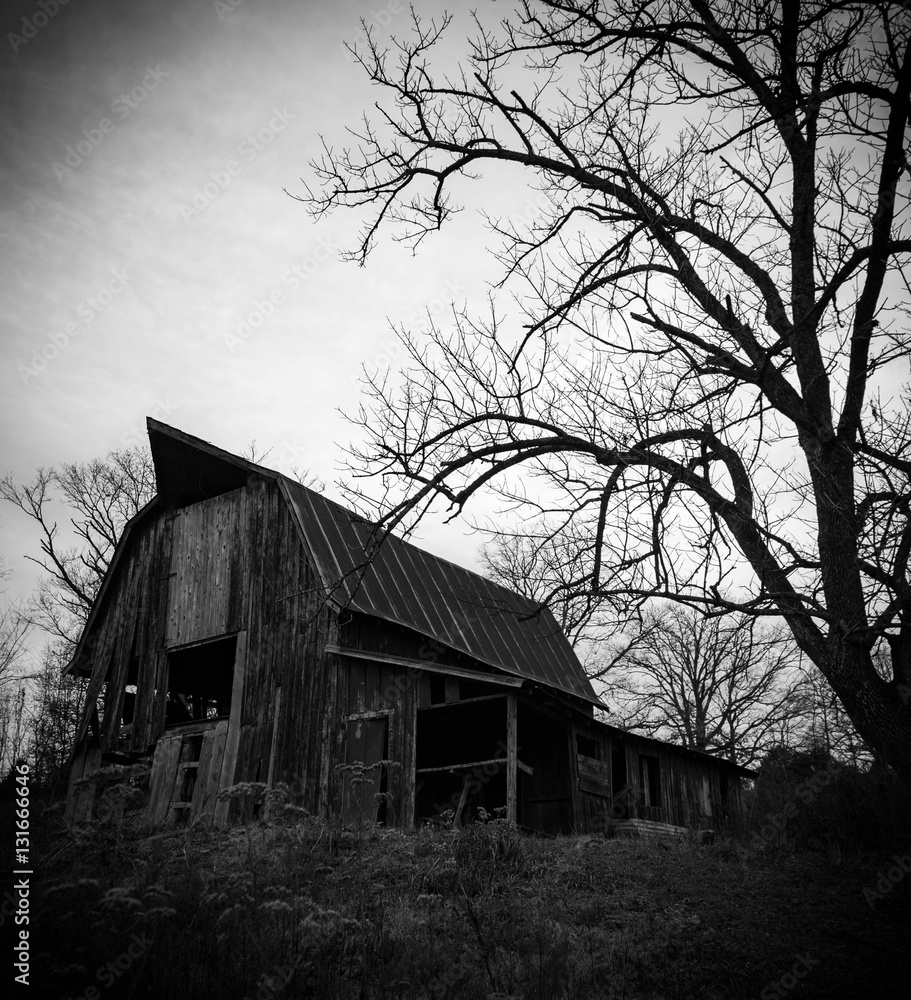 Obraz premium Old barn