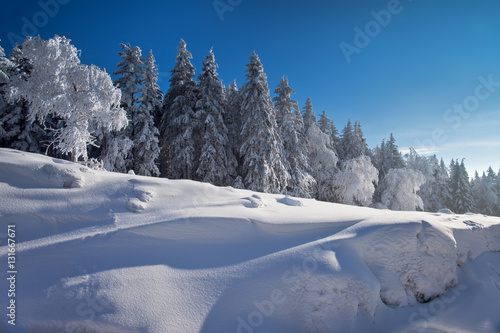 Fototapeta Naklejka Na Ścianę i Meble -  Słoneczny zimowy dzień w Krynicy-Zdrój. Sunny winter day in polish mountain in Krynica-Zdroj.