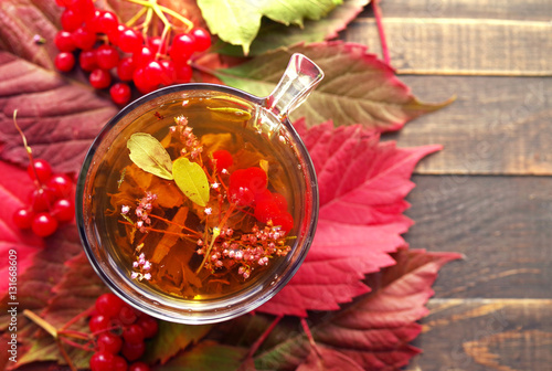 Herbal tea in a transparent glass mug and forest herbs on autumn leaves. Tea from autumn herbs. Phytotea