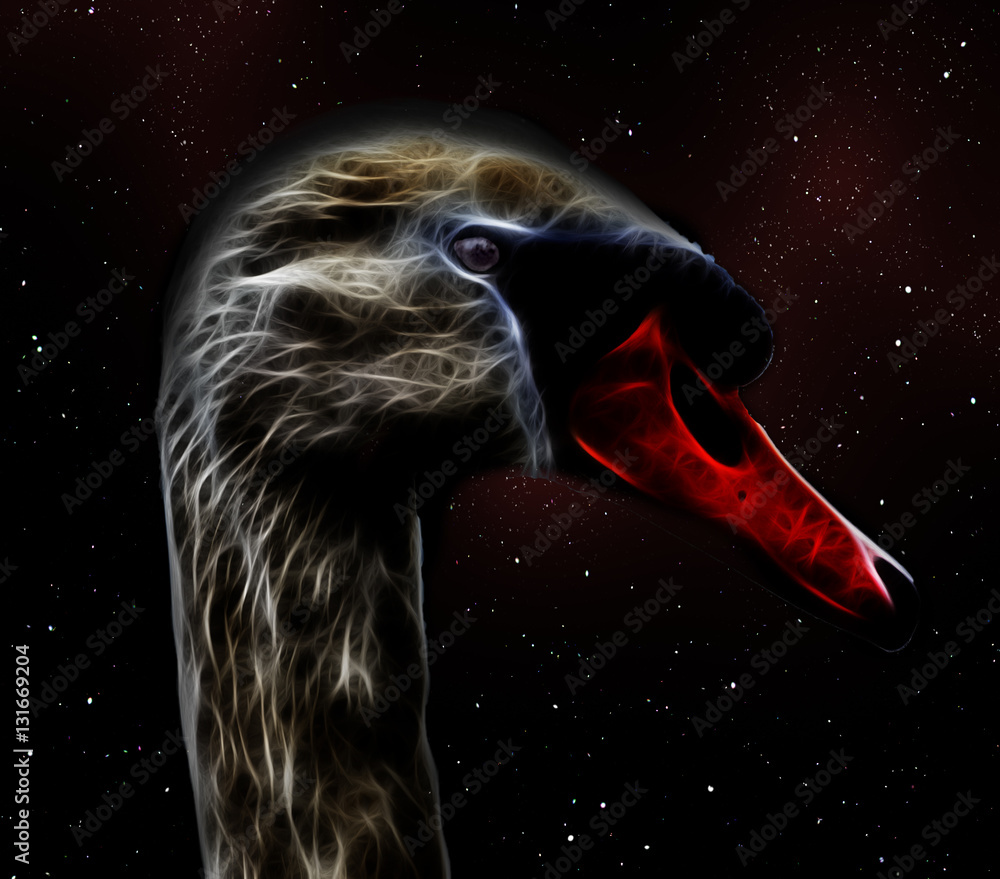 Naklejka premium Schwan