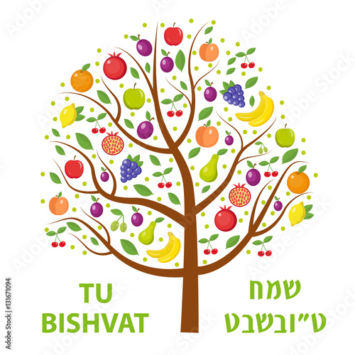 Tu Bishvat greeting card, poster. Jewish holiday, new year of trees. Tree with different fruits, fruit tree. Vector illustration