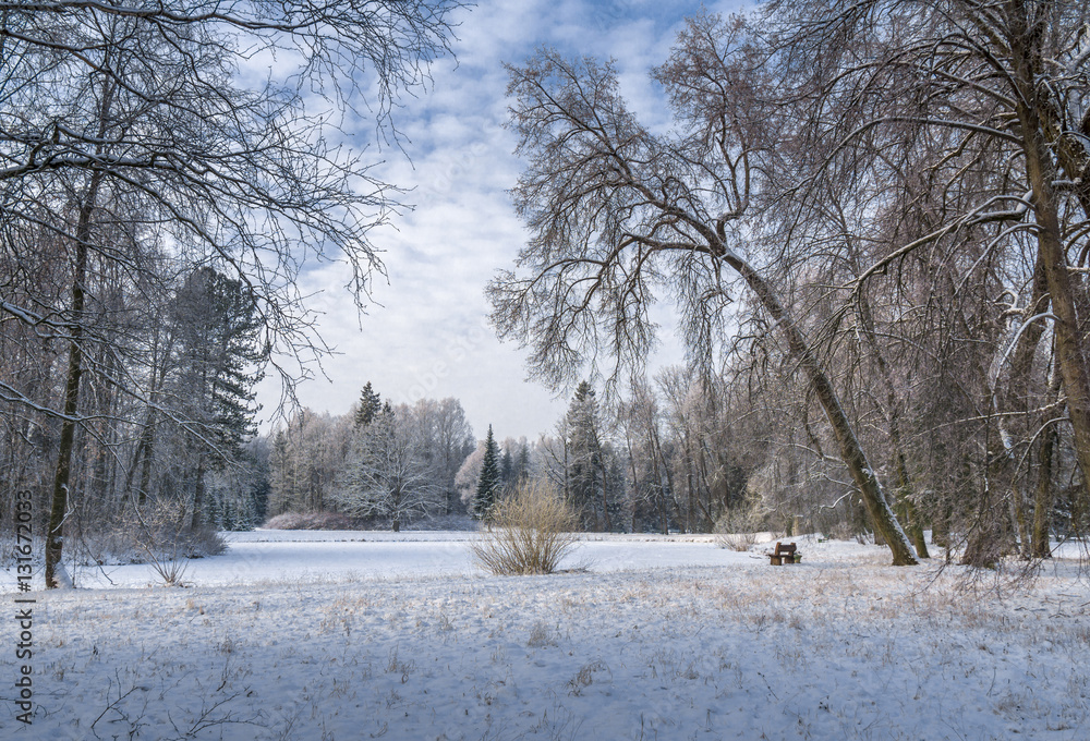 Naklejka premium Snow covered park