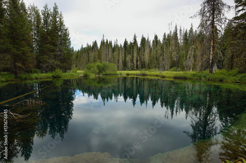 Little crater lake, Oregon