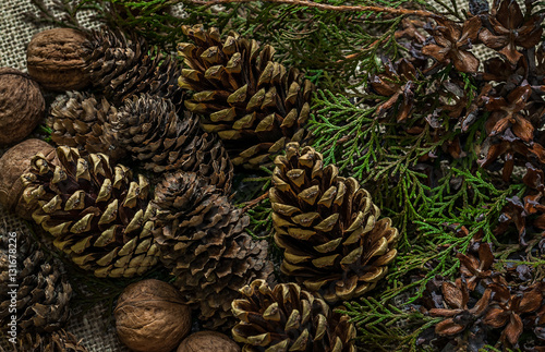 Composition of pine and spruce cones. Christmas composition