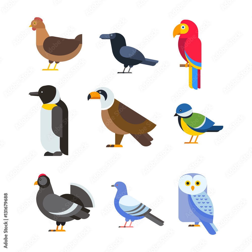 Fototapeta premium Birds vector set illustration isolated