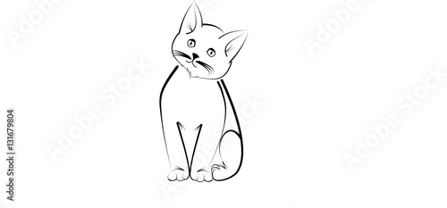 Kitten