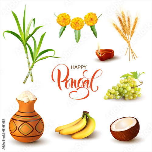 Indian harvest festival design elements isolated on white. Traditional elements of Pongal and Makar Sankranti. Vector set. 