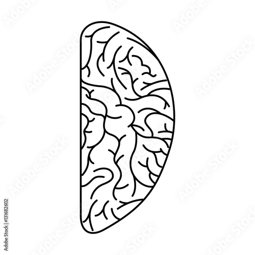 human brain organ isolated icon vector illustration design