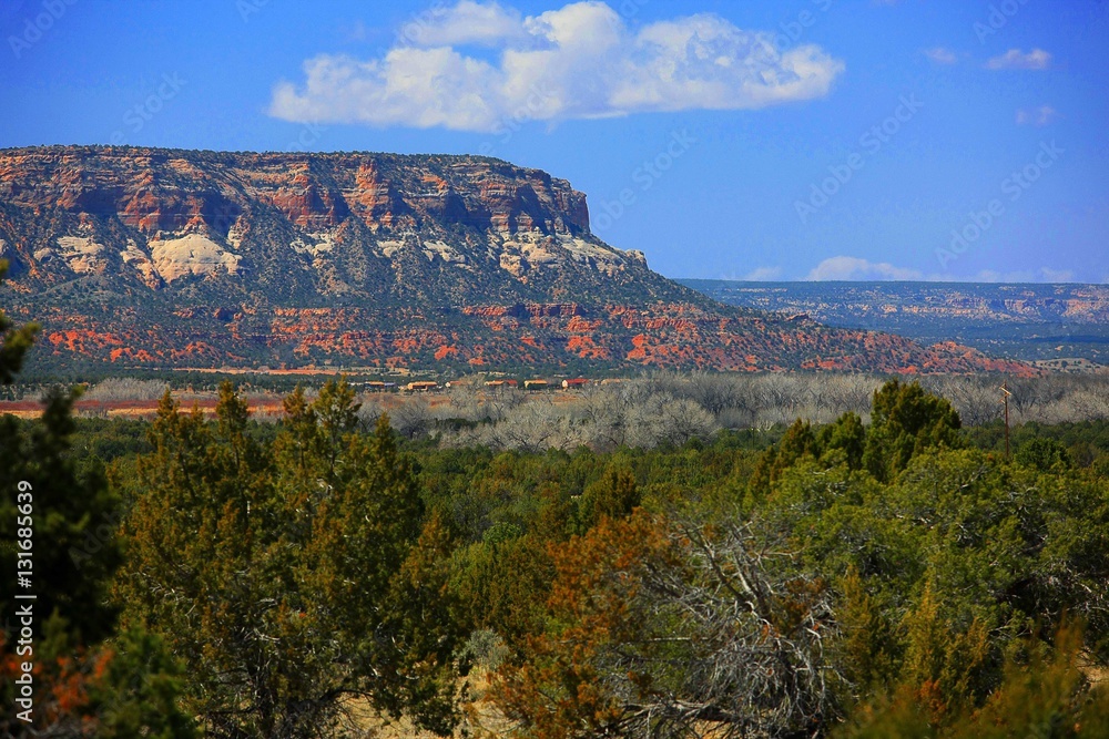 New Mexico Mesa