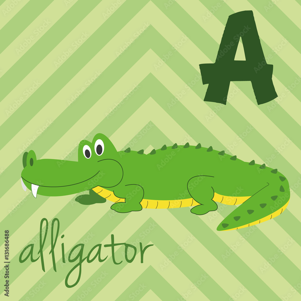 Cute cartoon zoo illustrated alphabet with funny animals: A for Alligator. English alphabet. Learn to read. Isolated Vector illustration.
