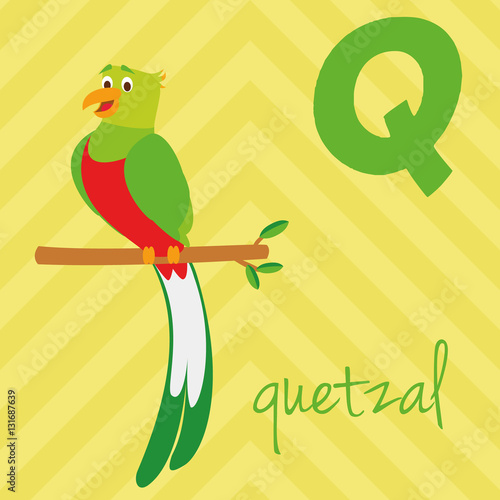 Cute cartoon zoo illustrated alphabet with funny animals. Spanish alphabet: Q for Quetzal. Learn to read. Isolated Vector illustration.