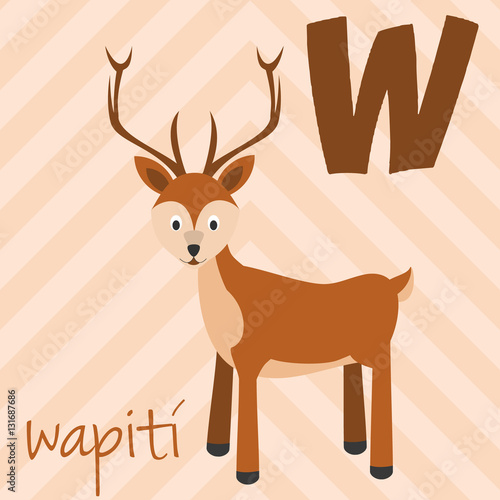 Cute cartoon zoo illustrated alphabet with funny animals. Spanish alphabet: W for Wapiti. Learn to read. Isolated Vector illustration. © asantosg