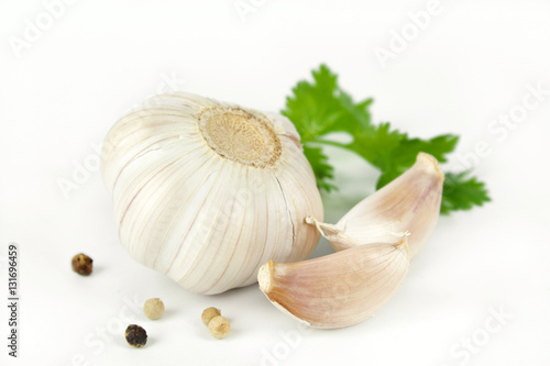 Garlic with leaves of coriander isolated on white 